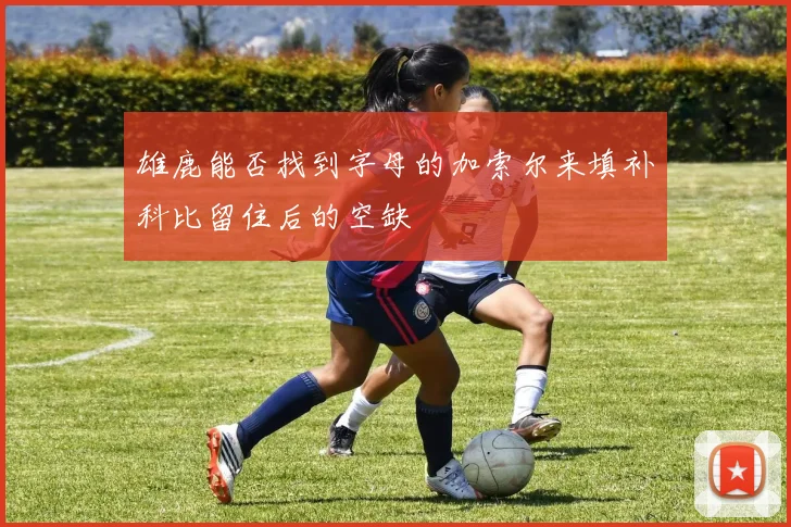 雄鹿能否找到字母的加索尔来填补科比留住后的空缺