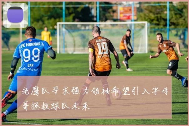 老鹰队寻求强力领袖希望引入字母哥拯救球队未来
