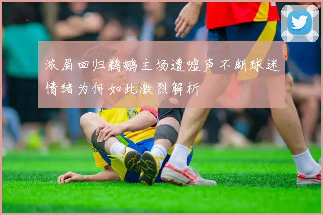 浓眉回归鹈鹕主场遭嘘声不断球迷情绪为何如此激烈解析