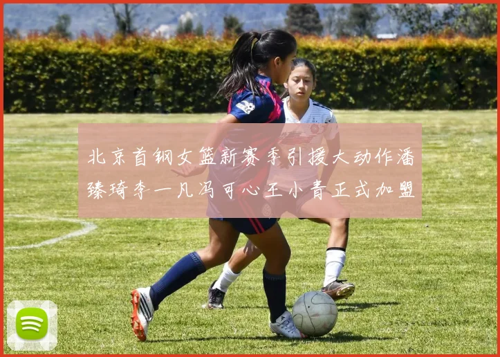 北京首钢女篮新赛季引援大动作潘臻琦李一凡冯可心王小青正式加盟