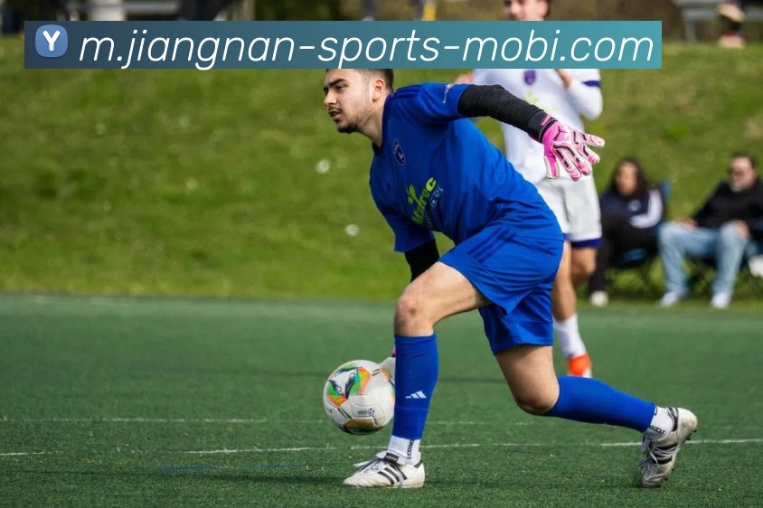 江南体育平台生态图