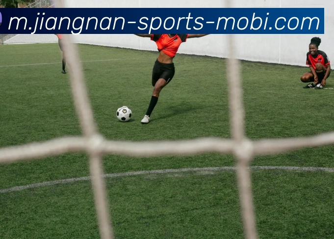 江南体育APP 封面图